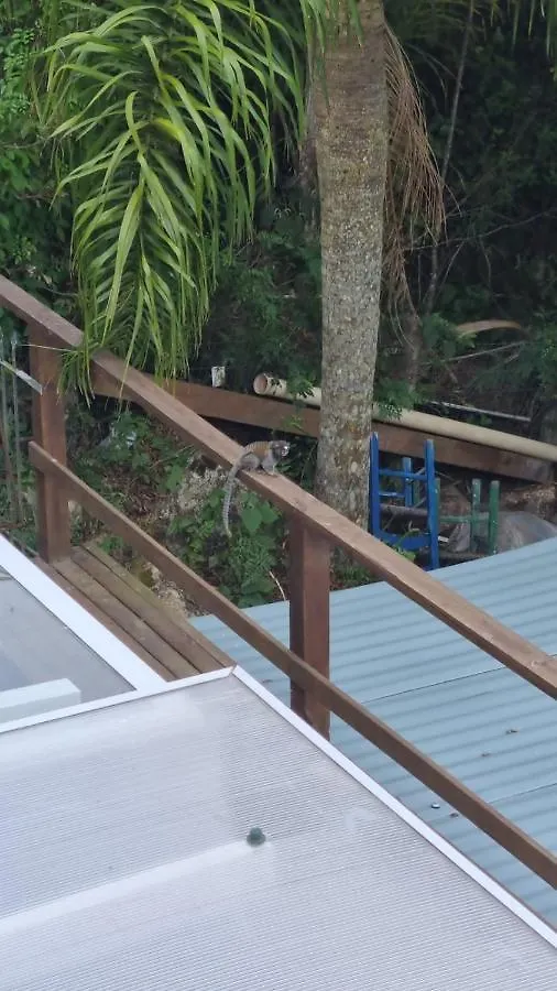 Studio Good Vibes Com Jacuzzi E Vista Para O Mar Chacarailhadamagia Florianopolis Brazil
